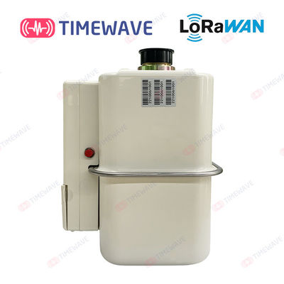 Secure Smart Gas Meter Wireless LoRaWAN Based 1.6 / 2.5 / 4.0m3/H