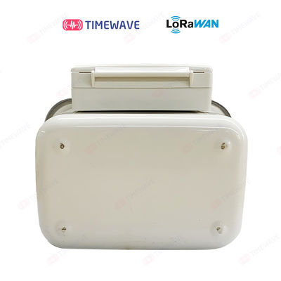 LoRaWAN Gas Meter For Real Time Data Transfer With Low Pressure Loss